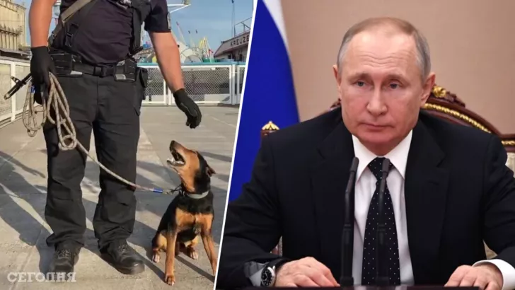 Собака пограничников забавно реагирует на фамилию российского диктатора