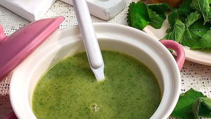 How to make transcarpathian soup with zucchini