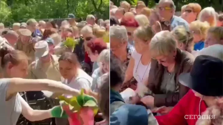 Россияне словно дикие набросились на бесплатные тюльпаны/Фото: коллаж: "Сегодня"