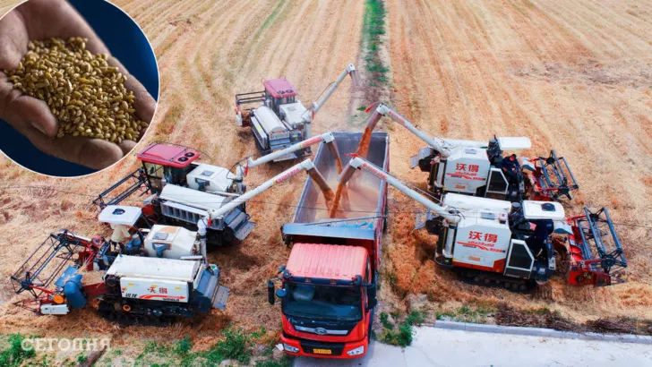 Украина планирует наращивать объемы экспорта зерна