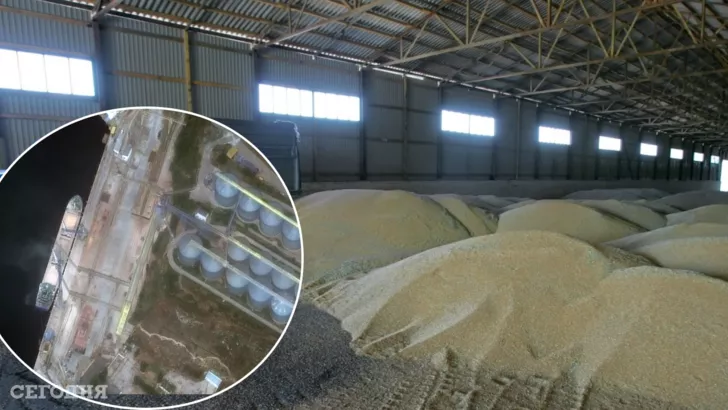 Росіяни знову крадуть українське зерно