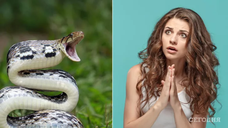 Избежать укуса змеи возможно, если не трогать рептилию, а оказание помощи при необходимости лучше доверить медикам