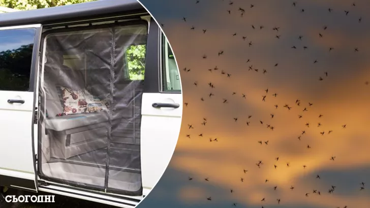 Як захистити салон машини від комарів