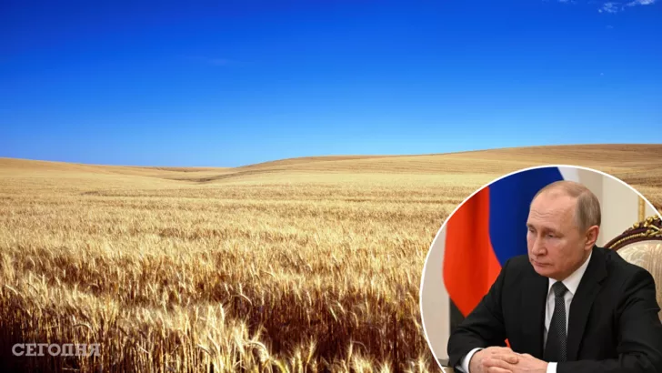 Россия на официальном уровне ворует украинское зерно с оккупированных украинских территорий