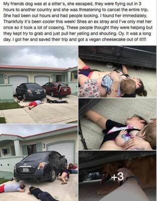Американка вытащила собаку из-под машины | Фото: Стерлинг Корбин в Facebook