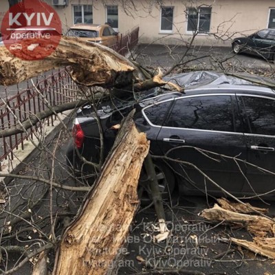 Ураган в Киеве | Фото: Киев Оперативный