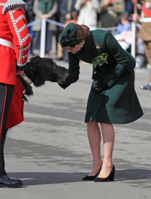 Кейт Миддлтон и принц Уильям на параде ирландских гвардейцев | Фото: twitter.com/kensingtonroyal