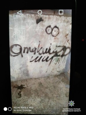 В Запорожье задержали парня, наносившего рекламу наркотиков | Фото: Нацполиция