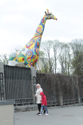 Новый символ. Жираф у нового входа в зоопарк | Фото: Анатолий Бойко, Сегодня