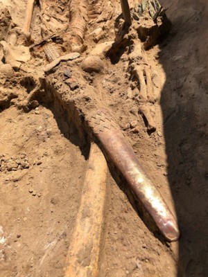 В Запорожской области археологи обнаружили не разграбленное захоронение скифского воина | Фото: Facebook