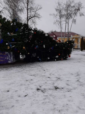 В селе Дунаевцы из-за сильного ветра рухнула новогодняя елка | Фото: Facebook