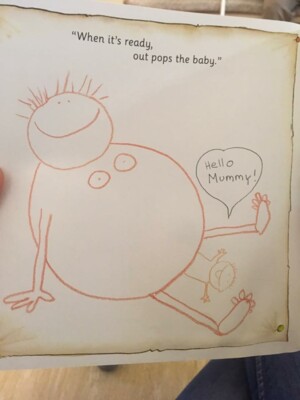 Иллюстрации из детской книги "Мамочка снесла яйцо!" | Фото: facebook.com/theunmumsymum
