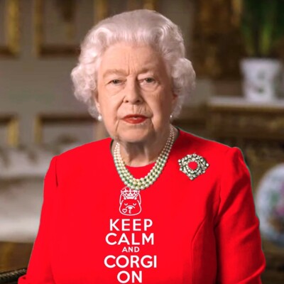 Елизавета II стала мемом после обращения к народу | Фото: Twitter / NerdPyle