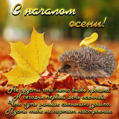 С первым днем осени: яркие картинки, поздравительные открытки, добрые стихи | Фото: bonnycards