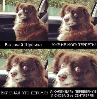 Мемы о песне "3-е сентября" Михаила Шуфутинского вышли в тренды Сети | Фото: Twitter, Instagram, Facebook