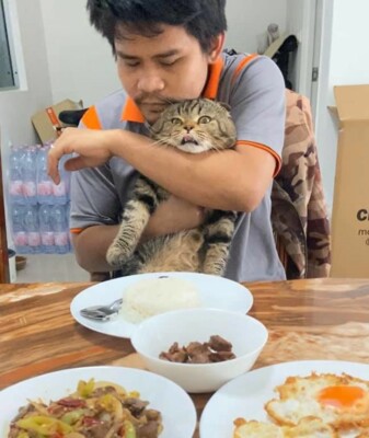 Кот по кличке Джарвис обожает своего хозяина | Фото: Super Cats в Facebook