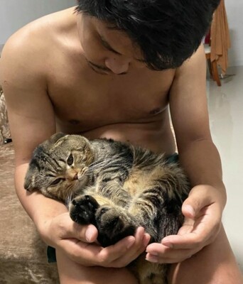 Кіт на прізвисько Джарвіс обожнює свого господаря