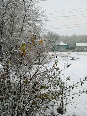 Снег в Сумской области