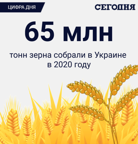 Цифра дня. Украина закончила сбор урожая – сколько зерна получили