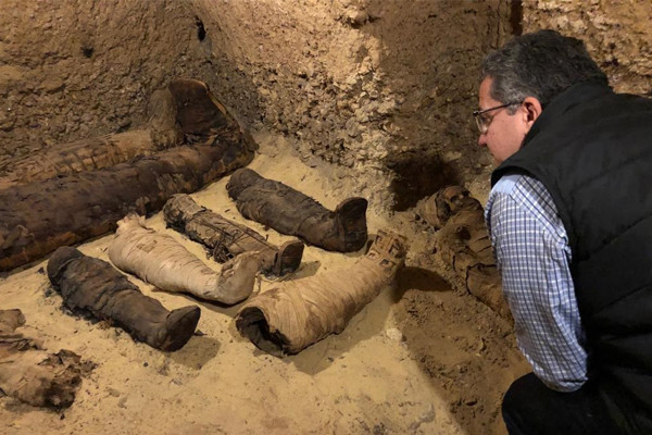 Гробница в Египте шокировала ученых Фото: antiquities.gov.eg