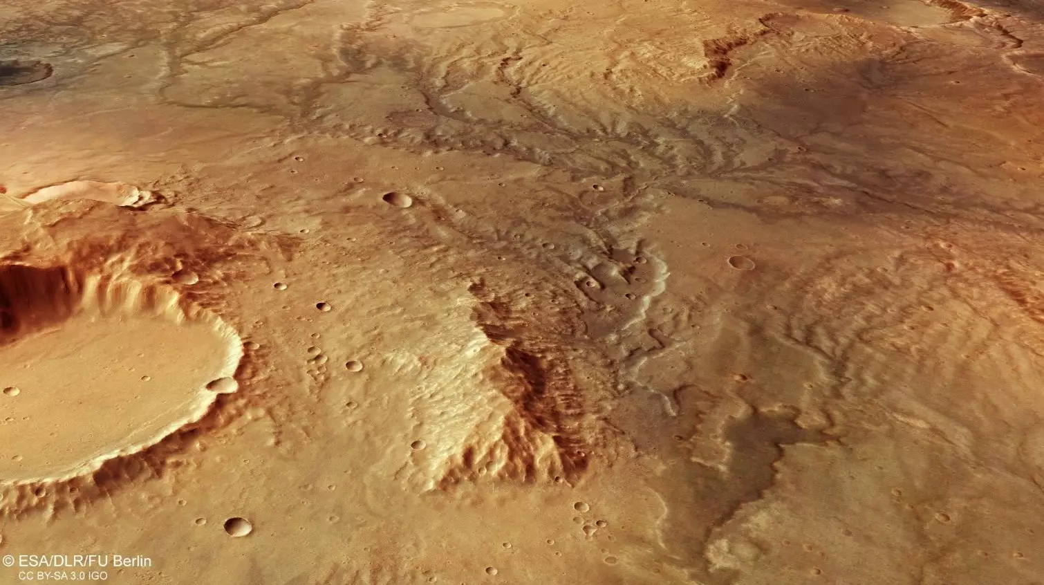 На Марсе найдены древние остатки рек – едва различимые долины, похожие на ветви деревьев
