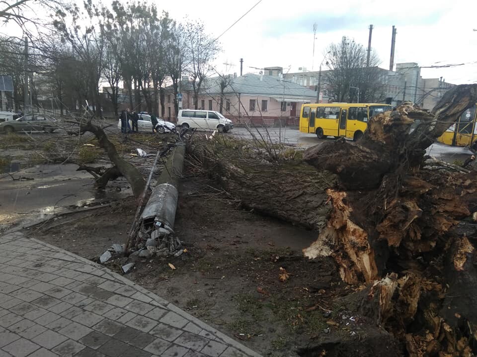 Ремонт крыши во львове