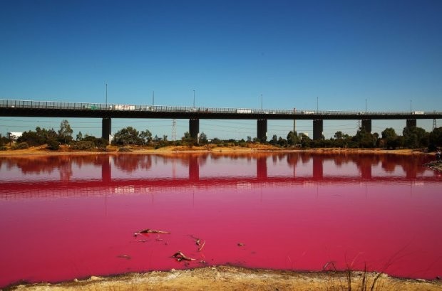 Розовое озеро в Австралии | Фото: instagram.com/gaelpgds