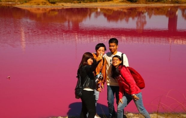Розовое озеро в Австралии | Фото: instagram.com/gaelpgds
