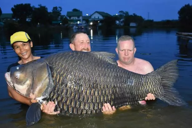 Мужчина установил мировой рекорд, поймав огромную рыбу