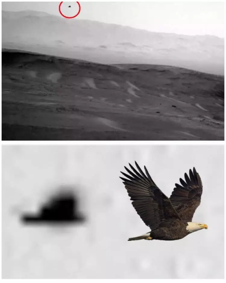 "Летающая аномалия"  на снимке ровера Curiosity
