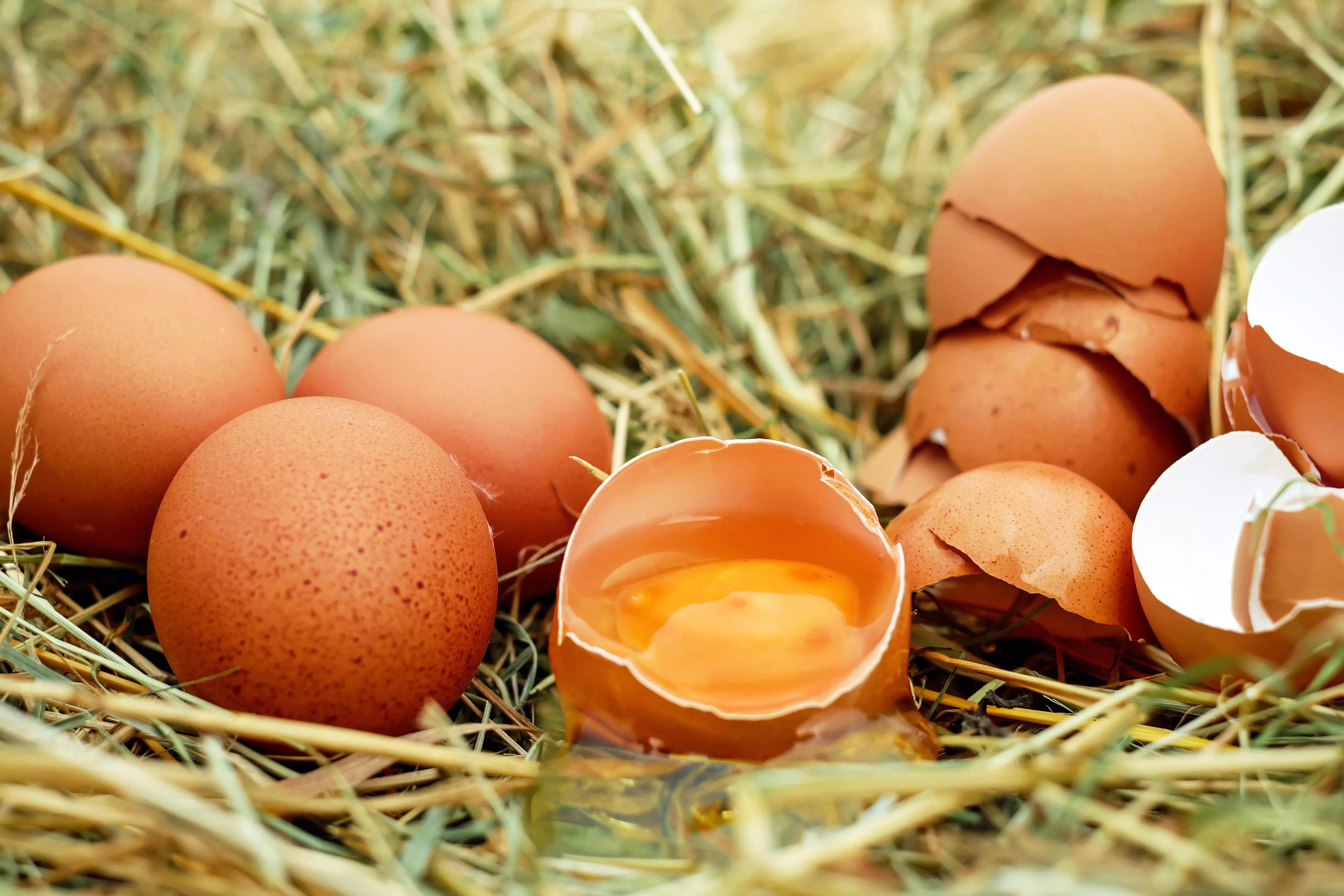 Яйца можно хранить без холодильника