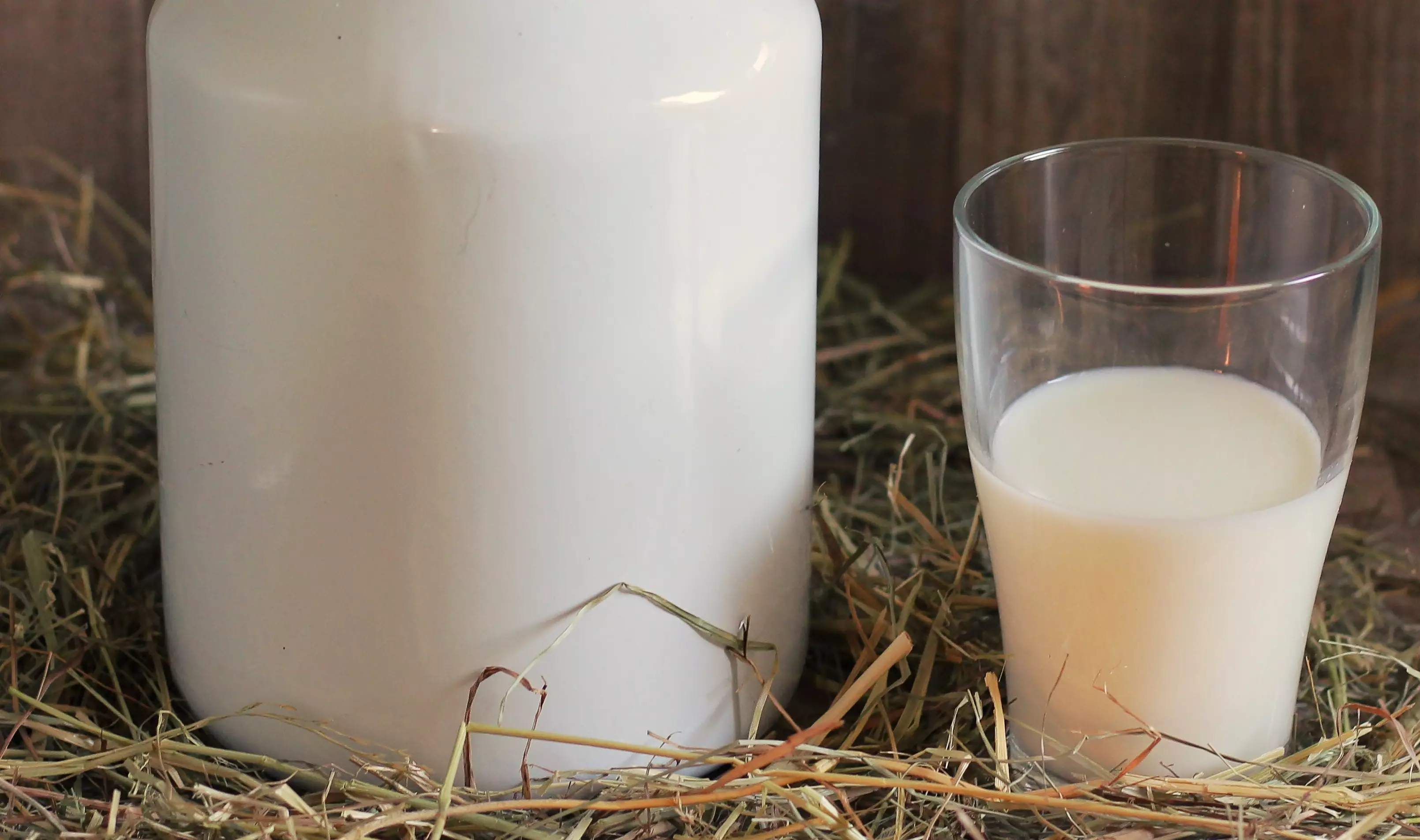 После употребления цельного коровьего молока у некоторых взрослых начинаются проблемы с желудком и кишечником