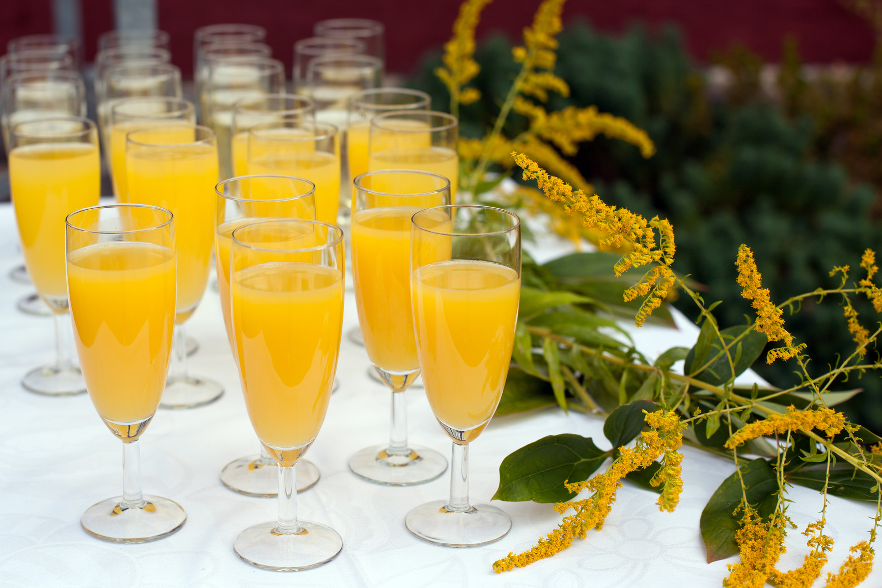 Mimosa коктейль