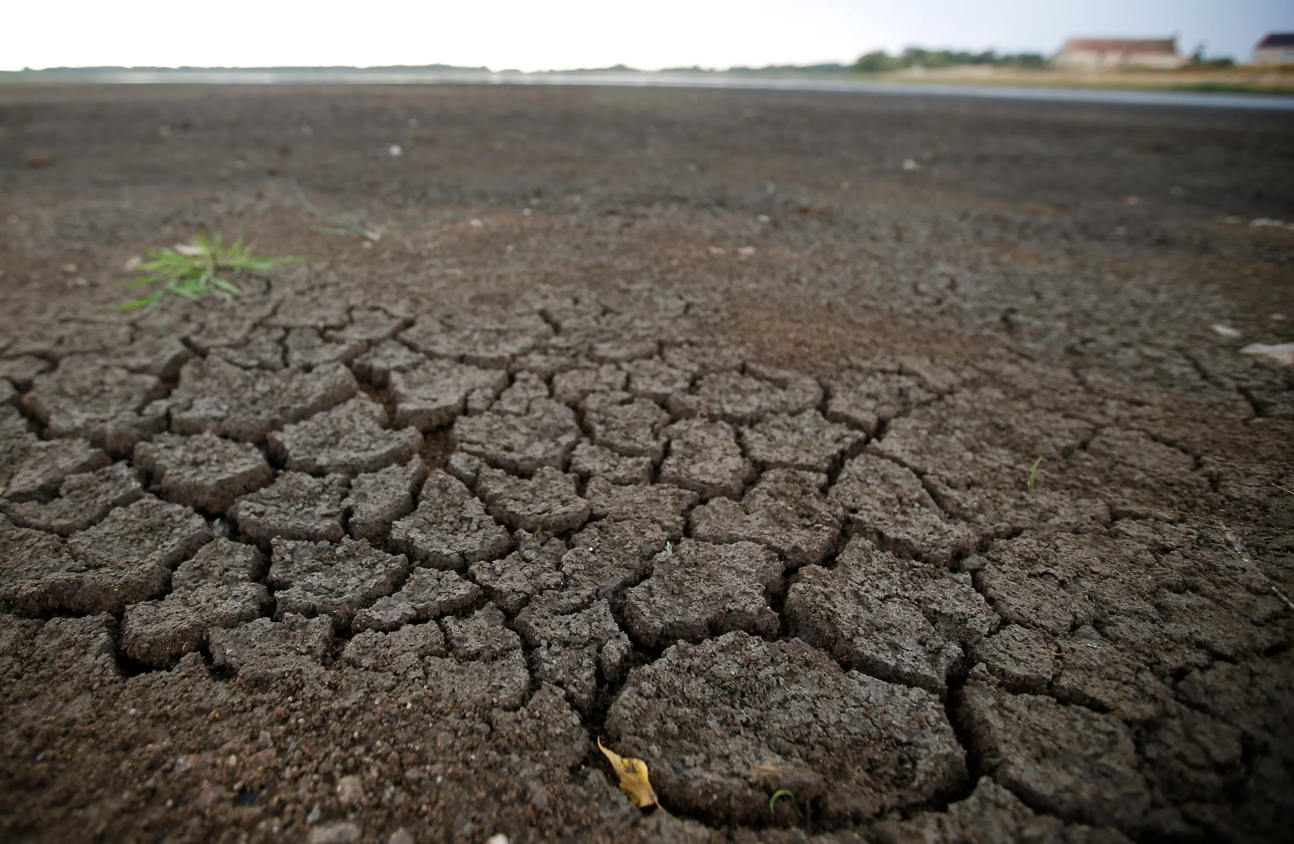 Засуха значение. Истощение почвы. Обеднение почвы. Засуха почвы. Истощение земельных ресурсов.