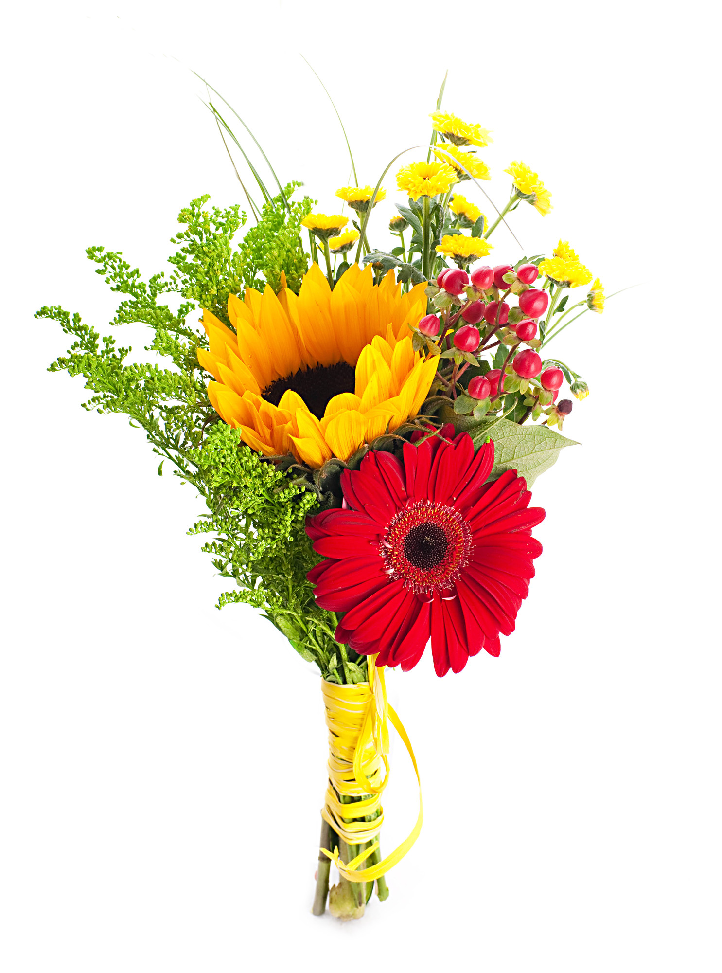 Какие цветы дарить на 1 сентября учителю - Статьи - Makilove