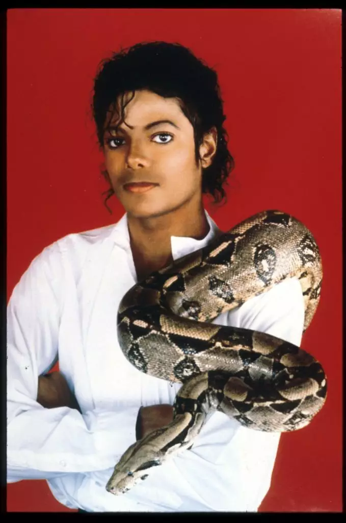 Майкл после пластики лица и отбеливания кожи (1982 год)