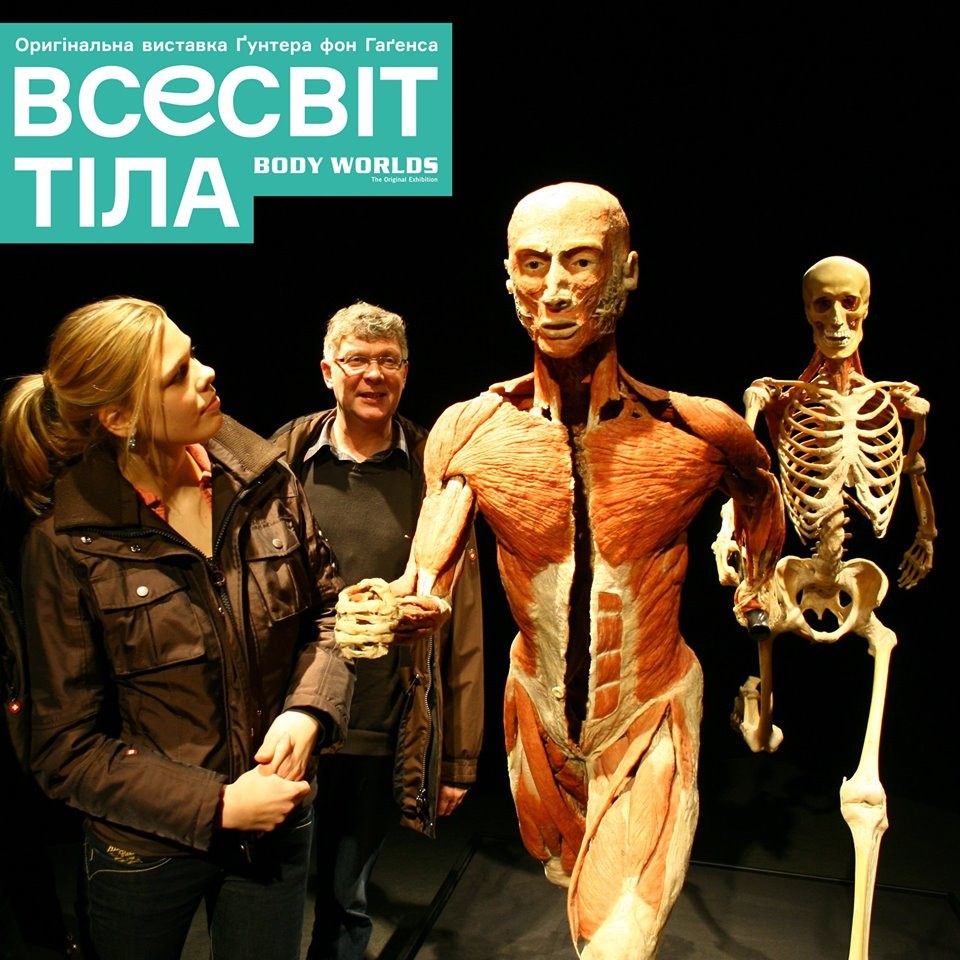 АРТ. Body Worlds — Вселенная тела