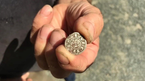 Французский фермер нашел 14 тысяч монет | Фото: francebleu.fr