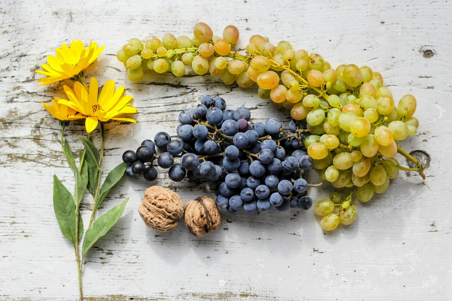 Виноград — польза и вред для организма, кому нельзя есть виноград