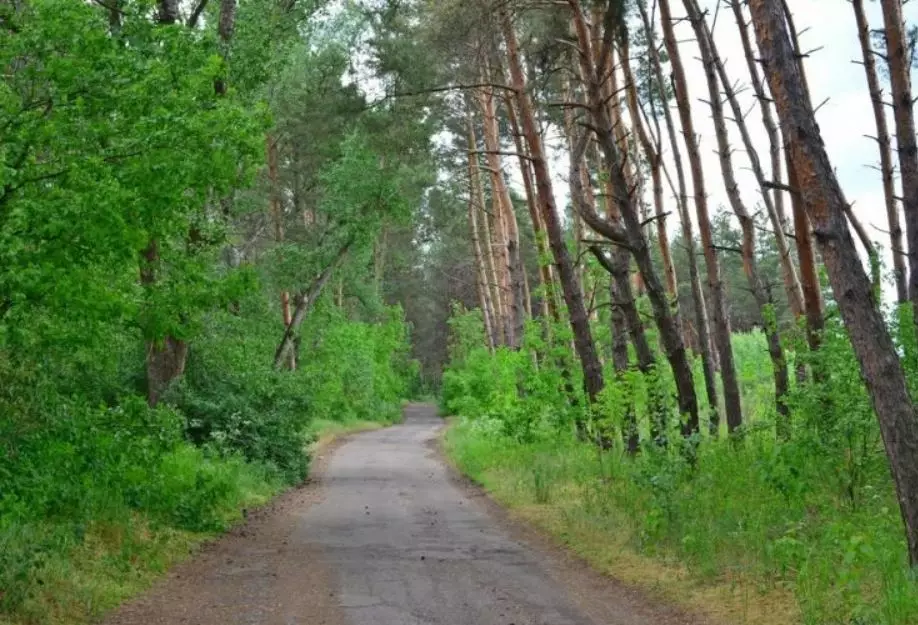 Обуховский лес