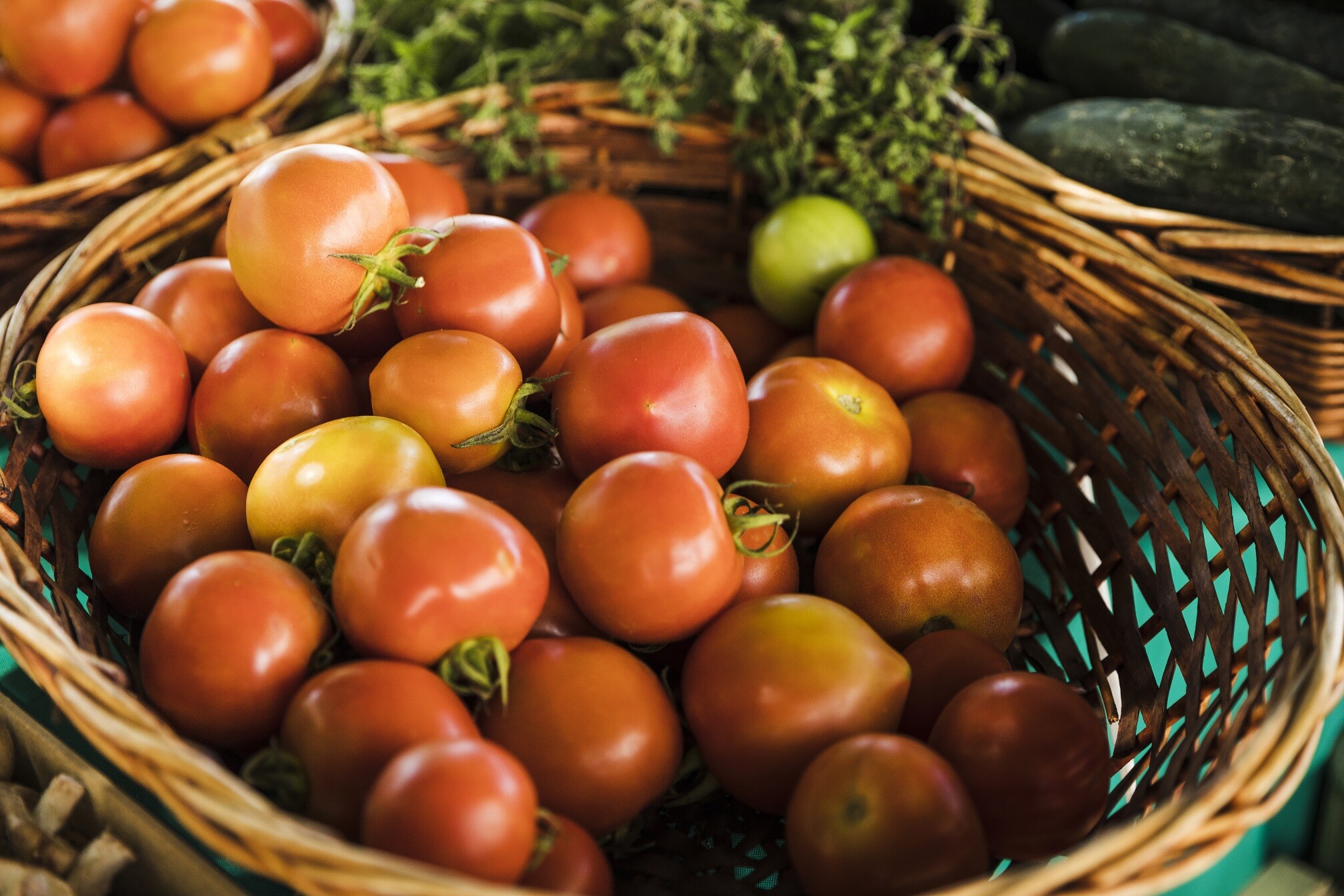 Хранение помидоров в парафине: пошаговая инструкция