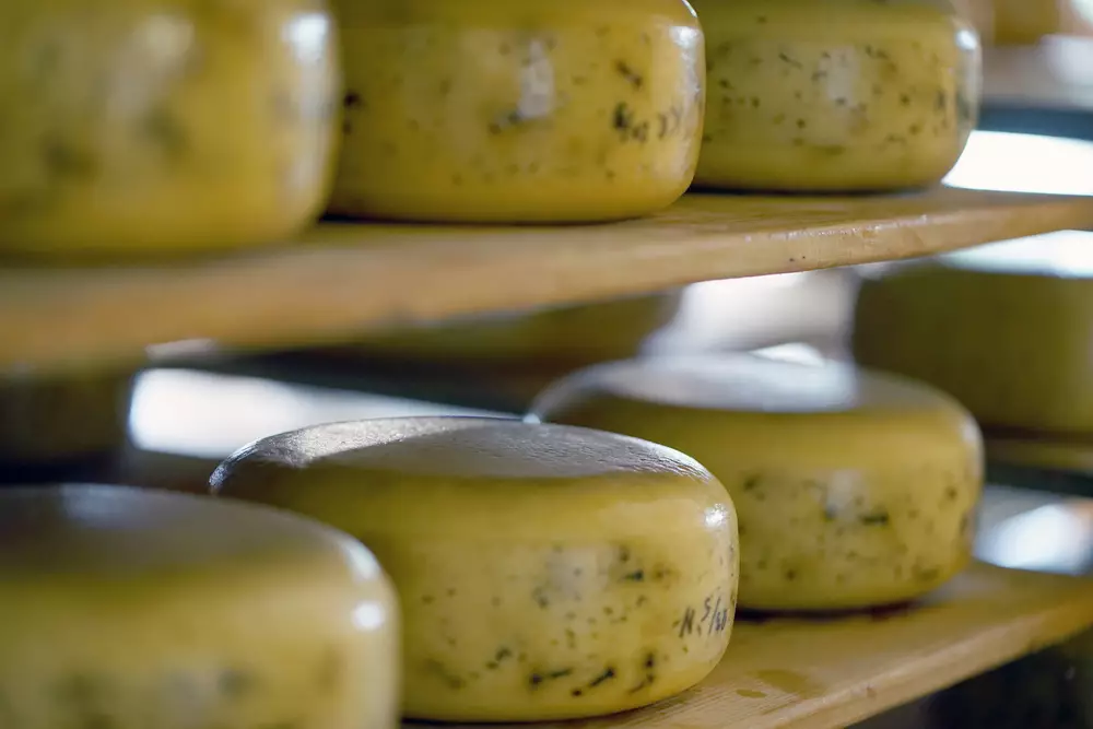 Сыр с плесенью нельзя хранить в пластике