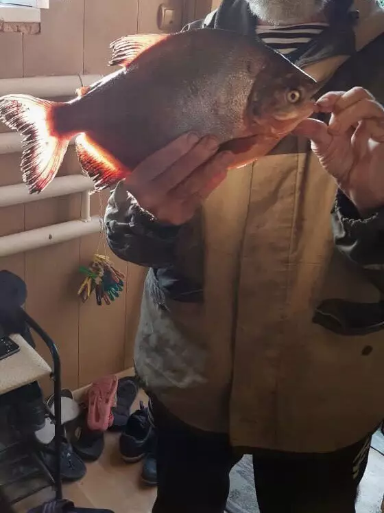 Российский пенсионер поймал необычную рыбу