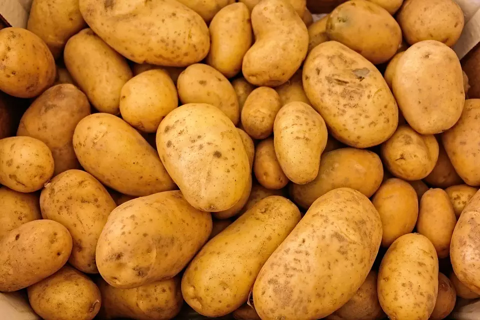 Кожура картофеля должна быть без гнили и повреждений