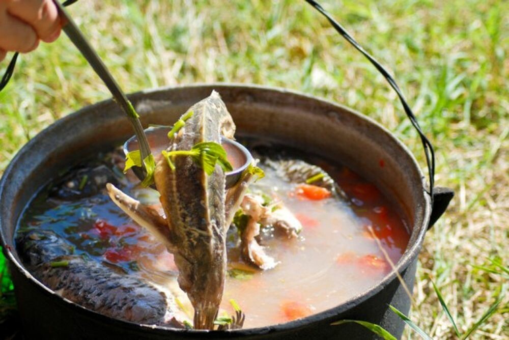 Уха рецепты приготовления 🥝 как приготовить дома суп из речной рыбы