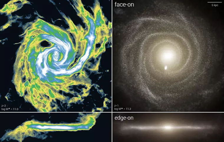Сравнение формирования галактики в симуляции Вселенной и в действительности