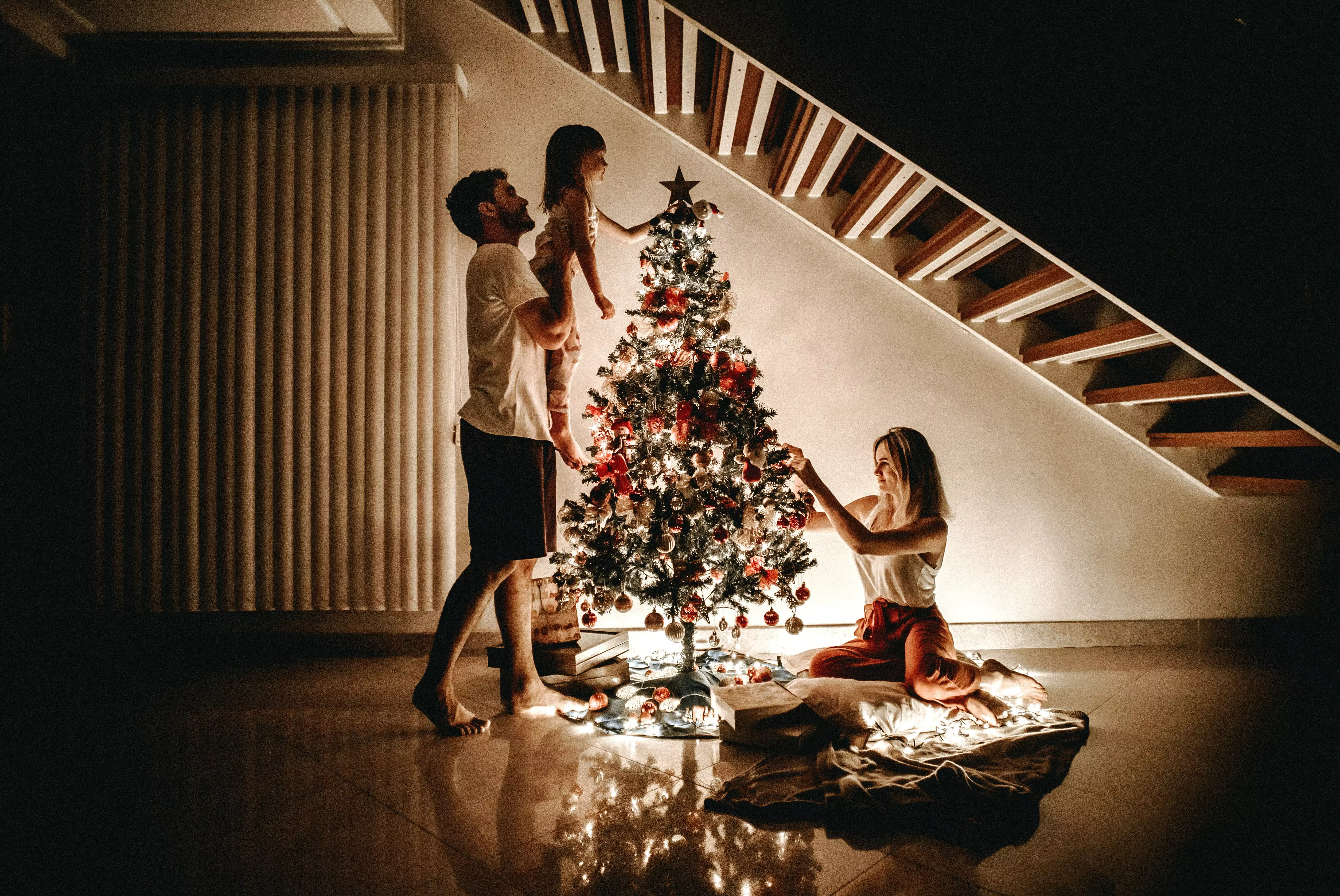 Как выбрать елку на праздники