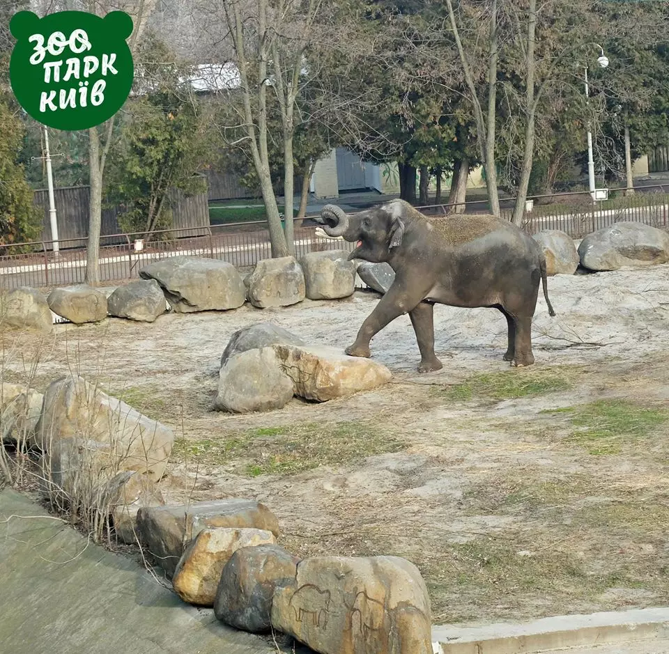 Фото: Київський зоопарк