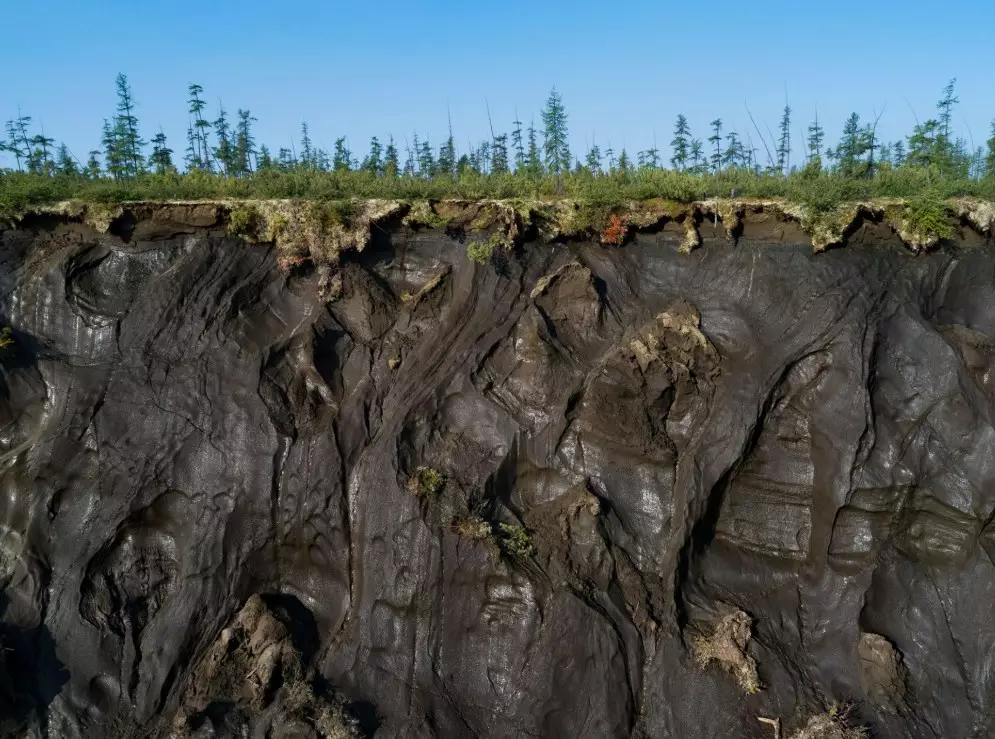 Кратер Батагайка в Восточной Сибири, вызванный оттаиванием вечной мерзлоты, содержит органические остатки листьев, трав и животных, которые умерли тысячи лет назад