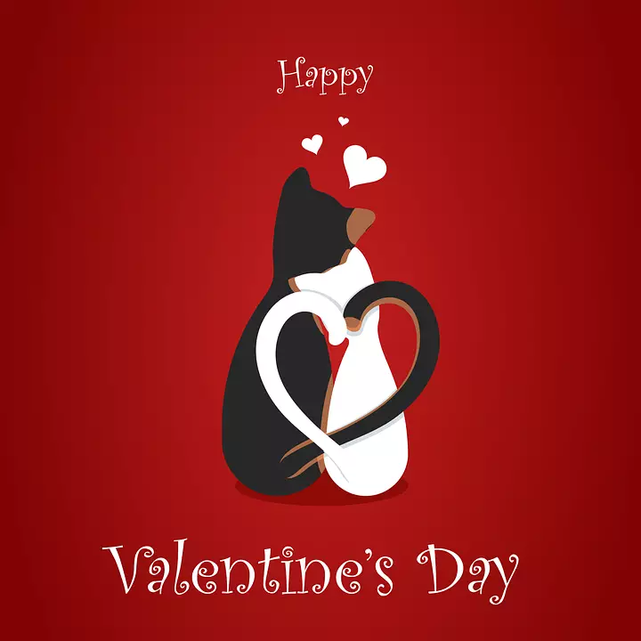 14 лютого відзначаємо День святого Валентина